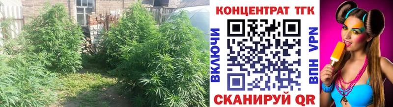 ТГК гашишное масло  маркетплейс наркотические препараты  Грязовец 